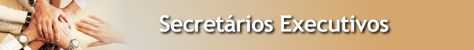 Secretários Executivos
