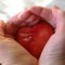 Devocional: "Amor e Vulnerabilidade"